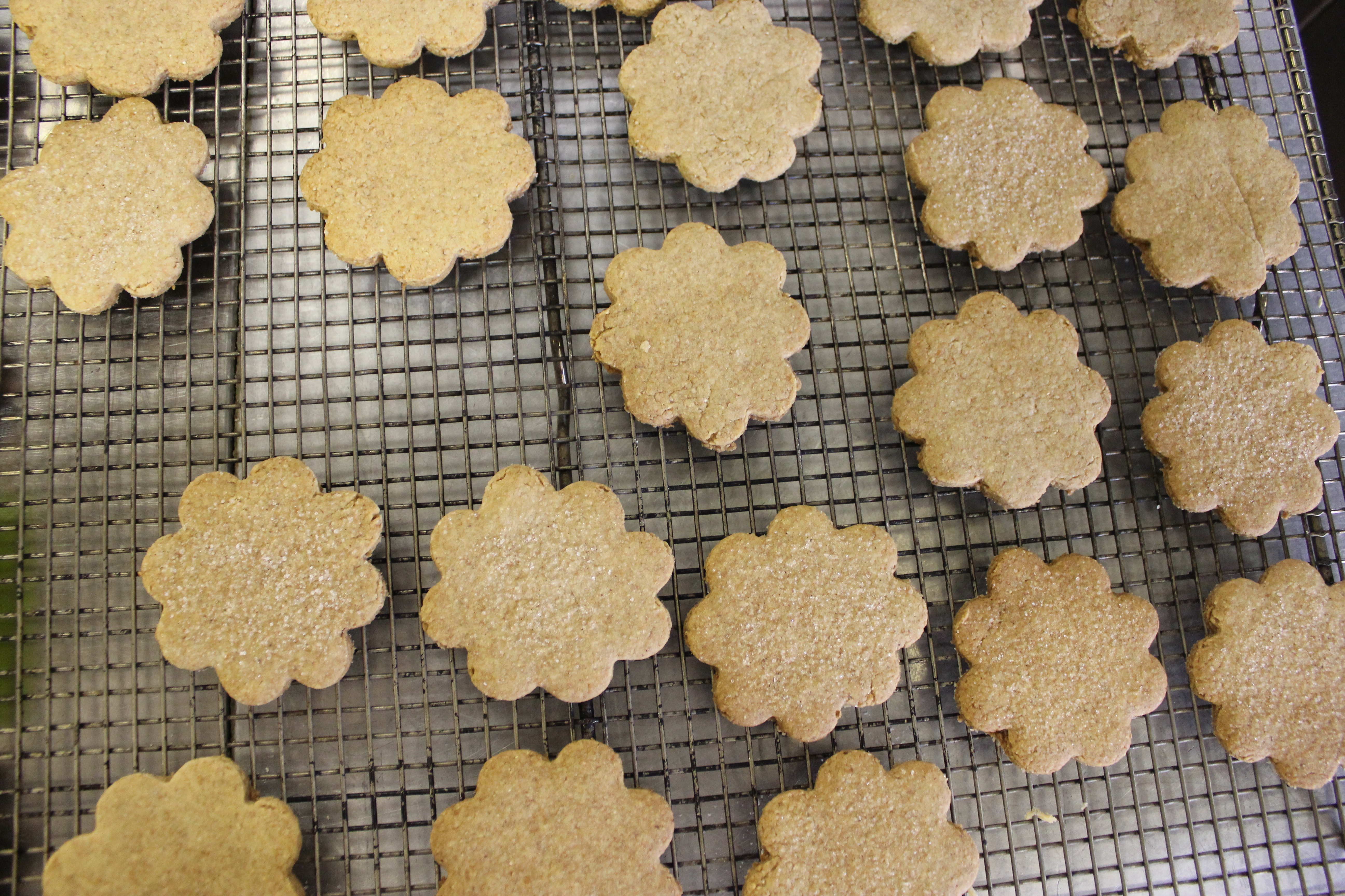 Homemade cinnamon sugar graham crackers Ashley Pardo